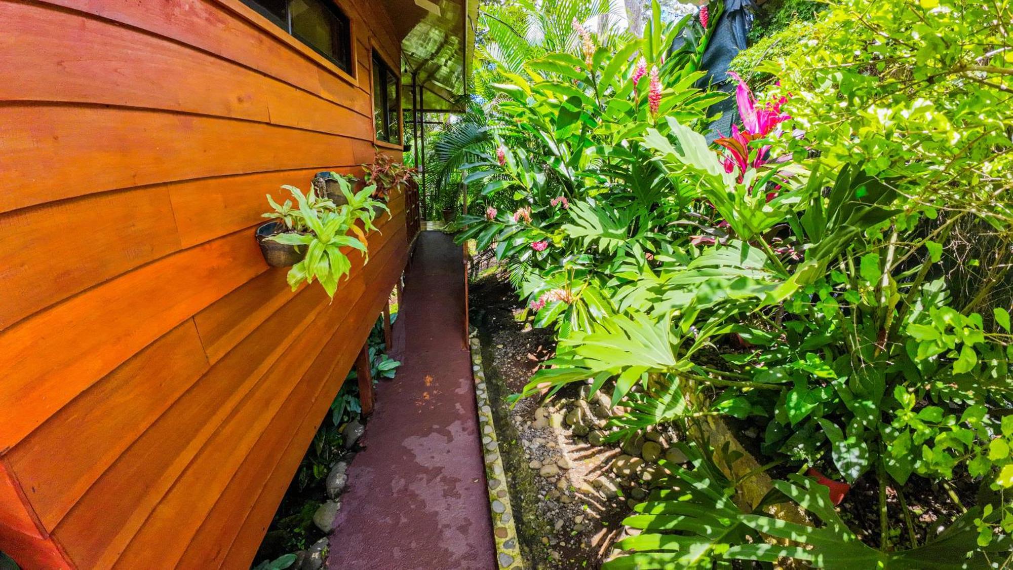 Bungalows Las Iguanas Arenal Volcano La Fortuna Eksteriør billede