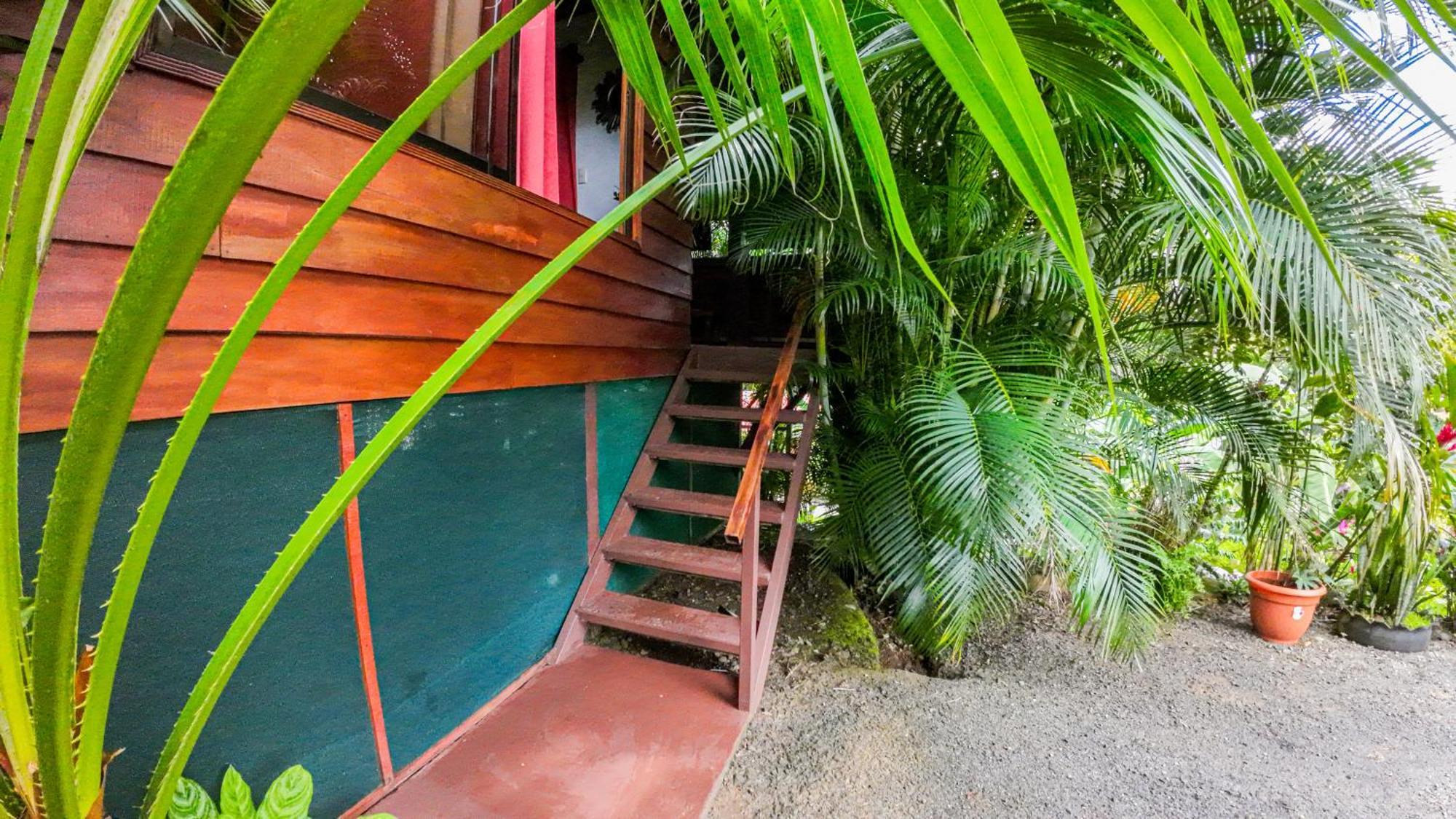 Bungalows Las Iguanas Arenal Volcano La Fortuna Eksteriør billede