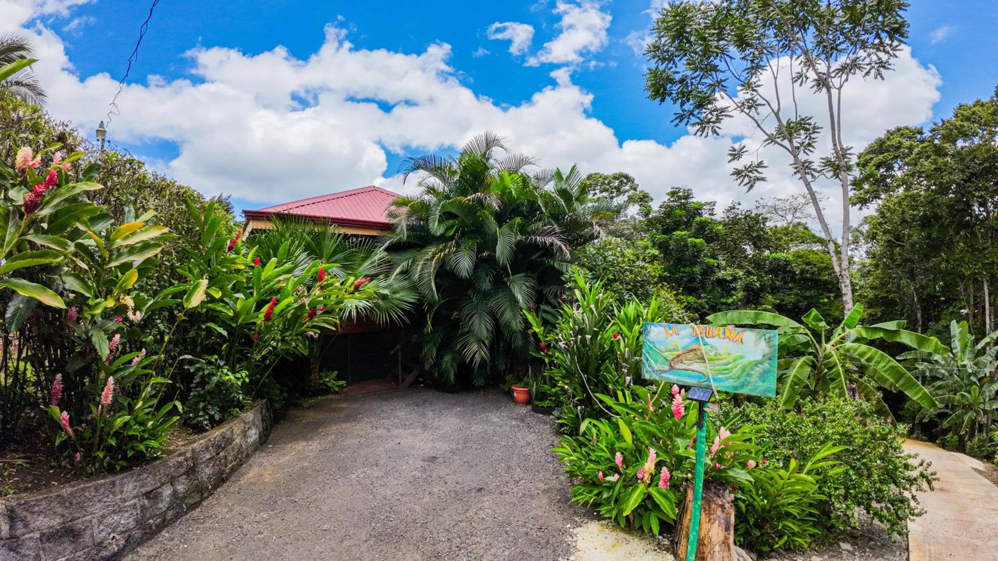 Bungalows Las Iguanas Arenal Volcano La Fortuna Eksteriør billede