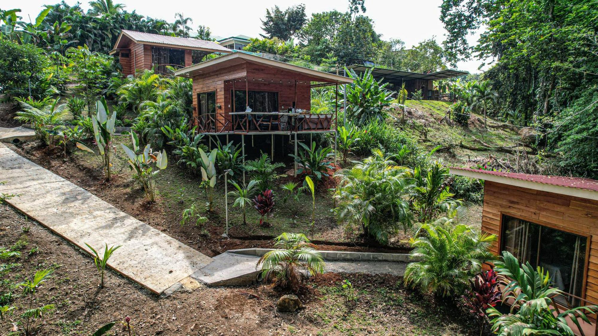 Bungalows Las Iguanas Arenal Volcano La Fortuna Eksteriør billede