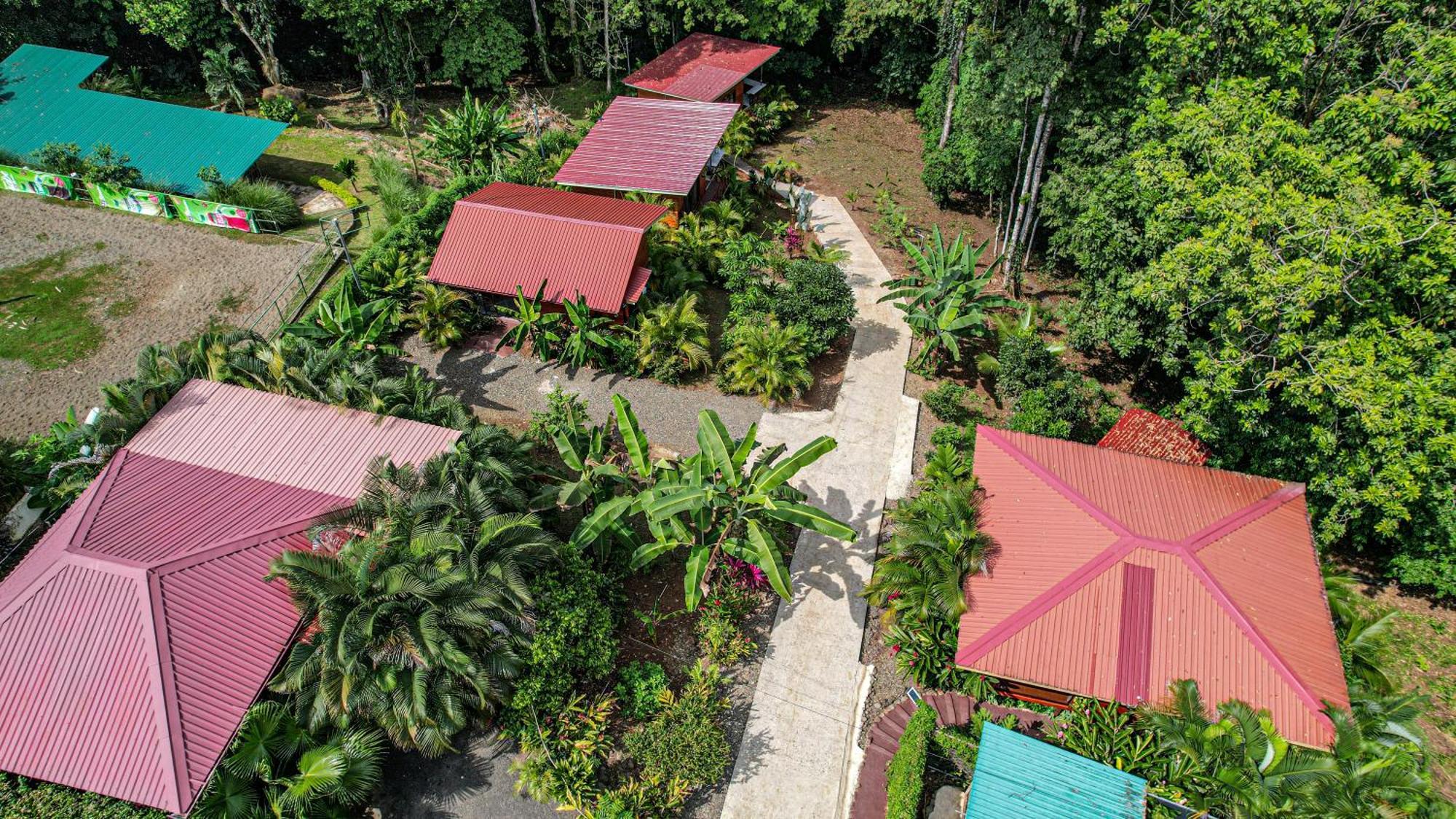 Bungalows Las Iguanas Arenal Volcano La Fortuna Eksteriør billede