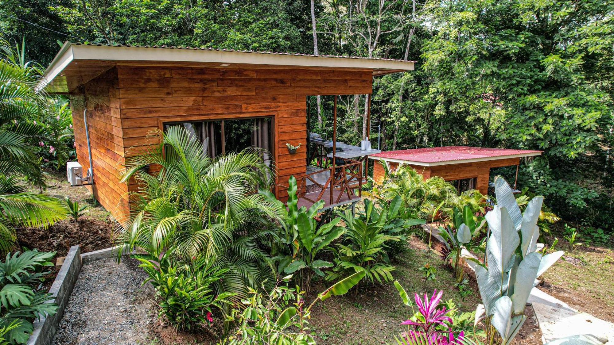 Bungalows Las Iguanas Arenal Volcano La Fortuna Eksteriør billede