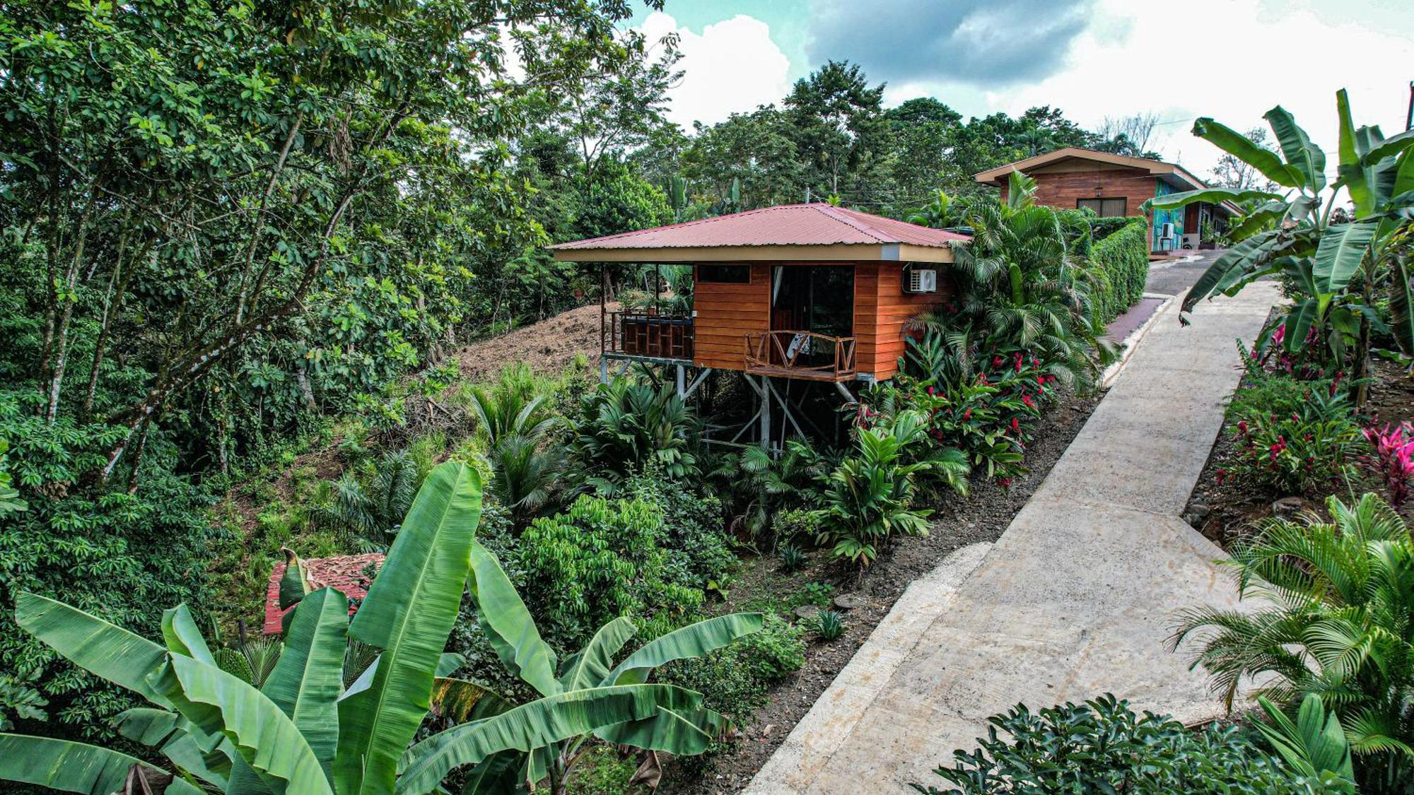 Bungalows Las Iguanas Arenal Volcano La Fortuna Eksteriør billede