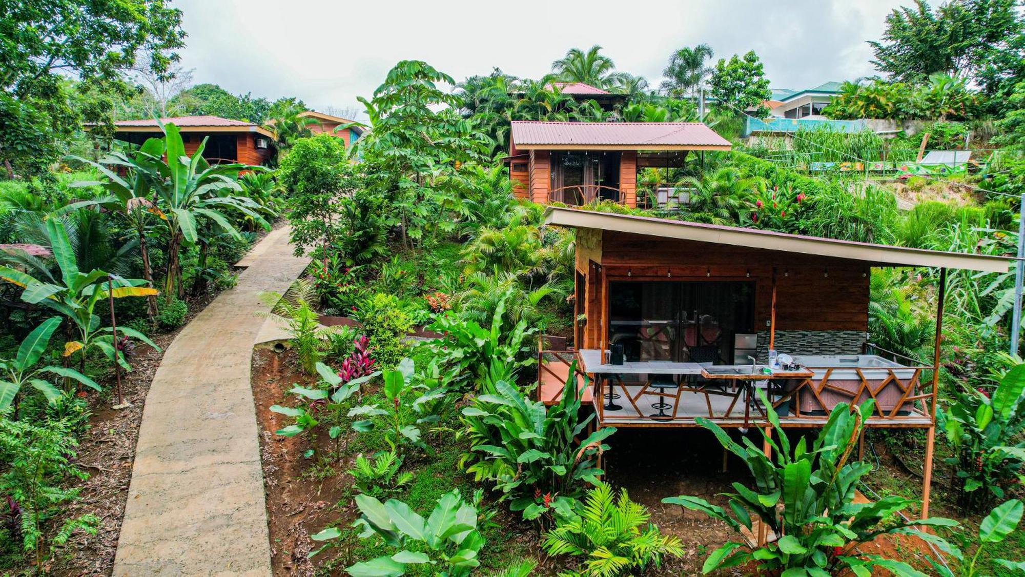 Bungalows Las Iguanas Arenal Volcano La Fortuna Eksteriør billede