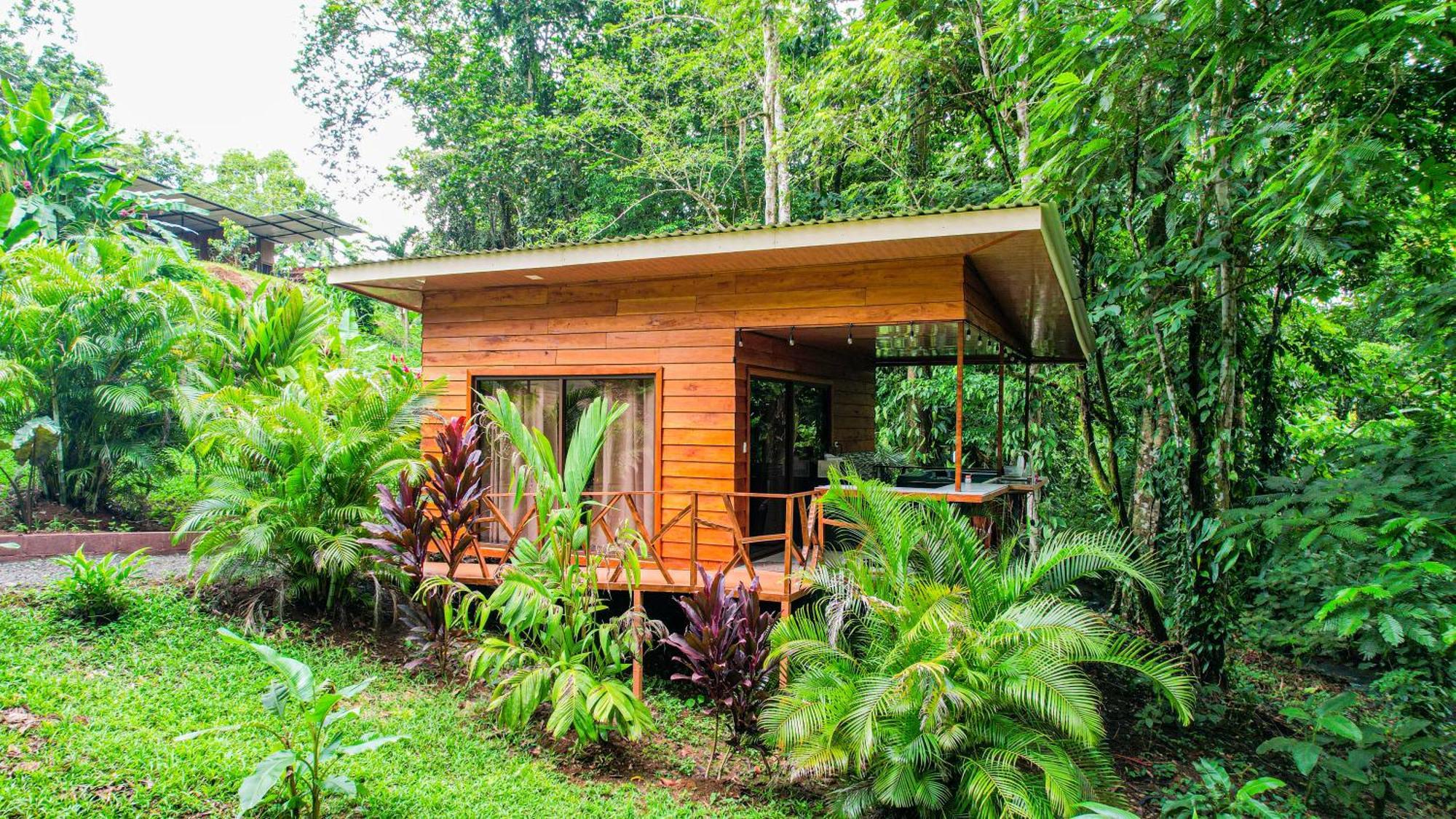 Bungalows Las Iguanas Arenal Volcano La Fortuna Eksteriør billede